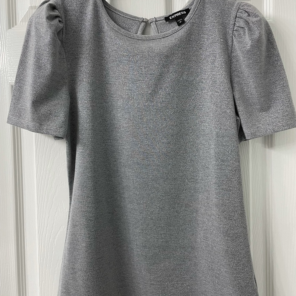 Express Top Short Sleeve Shimmery Size S/P
